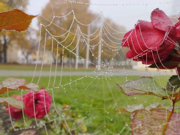 Foggy And Wet, But It Usually Get Warm And Sunny For A Week Or Two In October
