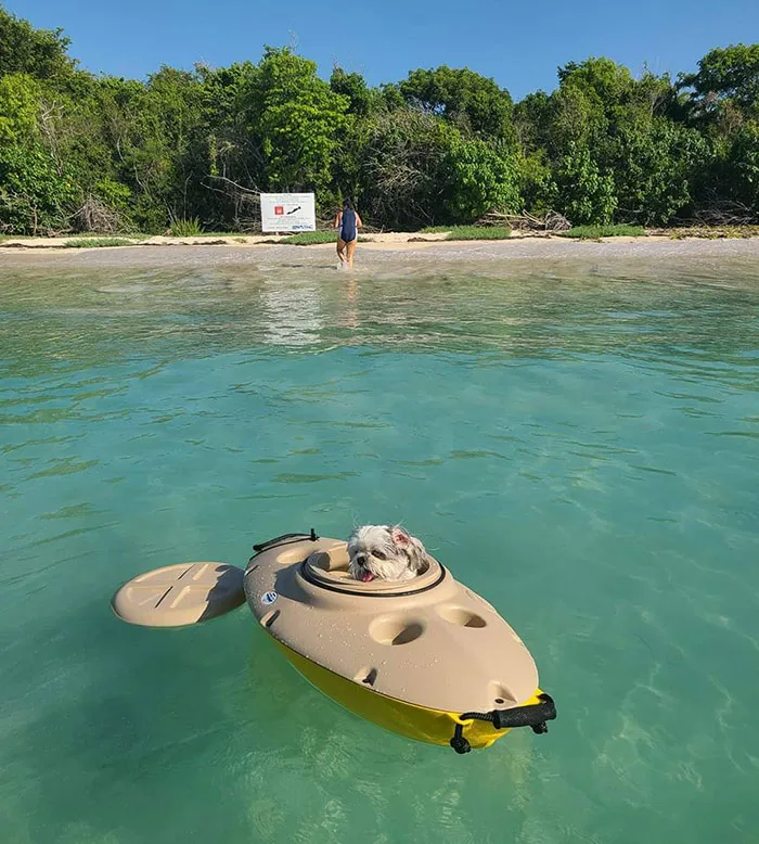 Mi tía tiene un kayak para su perro
