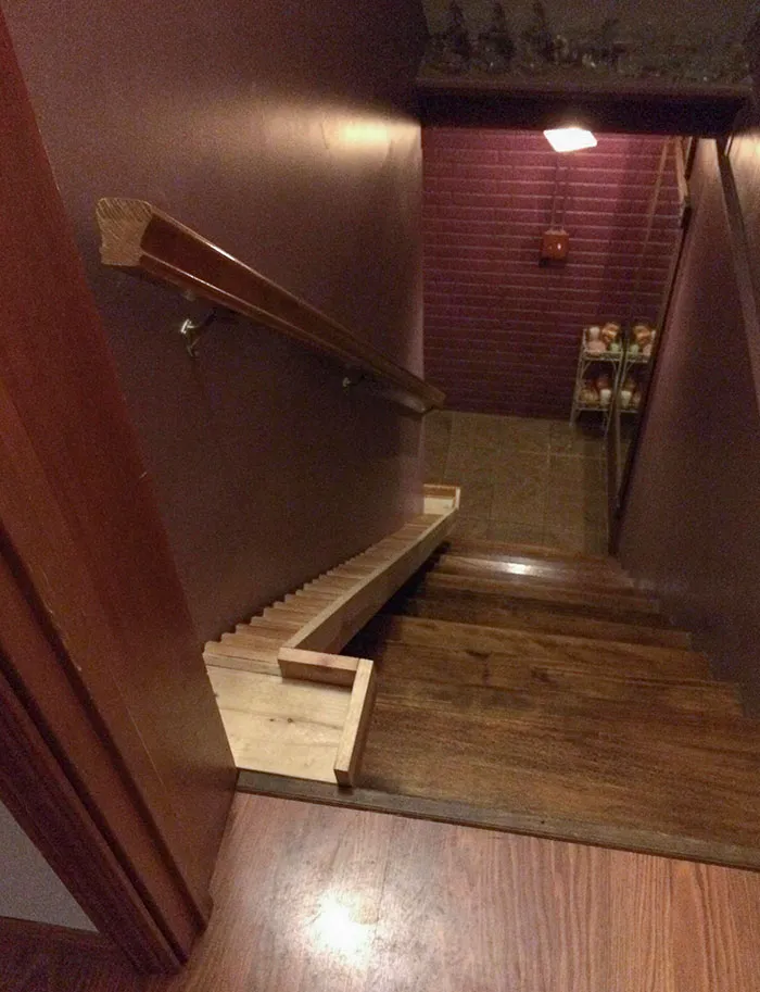 My Uncle Built Little Stairs For His Little Dog
