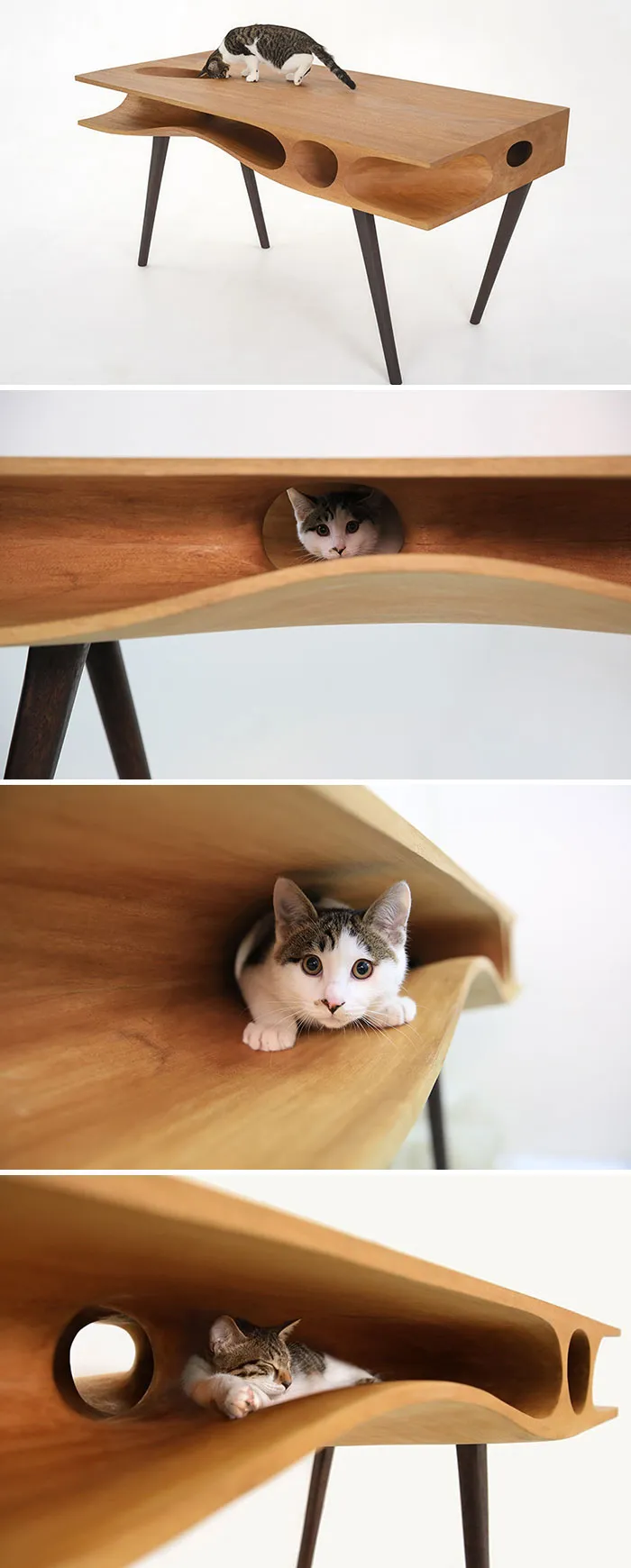 La solución para mantener a tu gato alejado de tu ordenador portátil