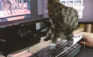 50 Genius Pet Inventions You Didn't Know You Needed To Be The Coolest Pet Owner