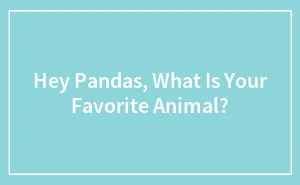 Hey Pandas, Who Is Your Favorite Music Artist?