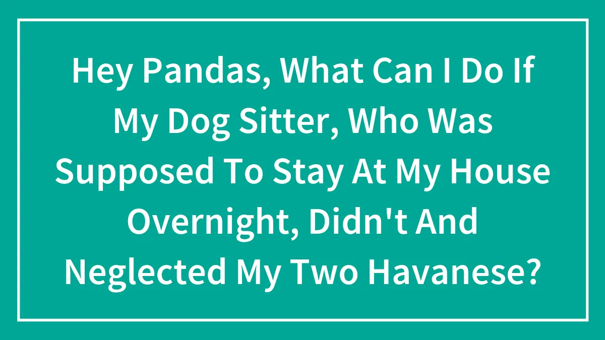 Hey Pandas, What Can I Do If My Dog Sitter, Who Was Supposed To Stay At My House Overnight, Didn't And Neglected My Two Havanese? (Closed)