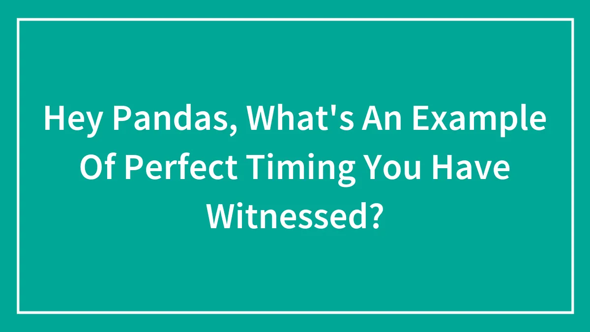 Hey Pandas, What's An Example Of Perfect Timing You Have Witnessed? (Closed)