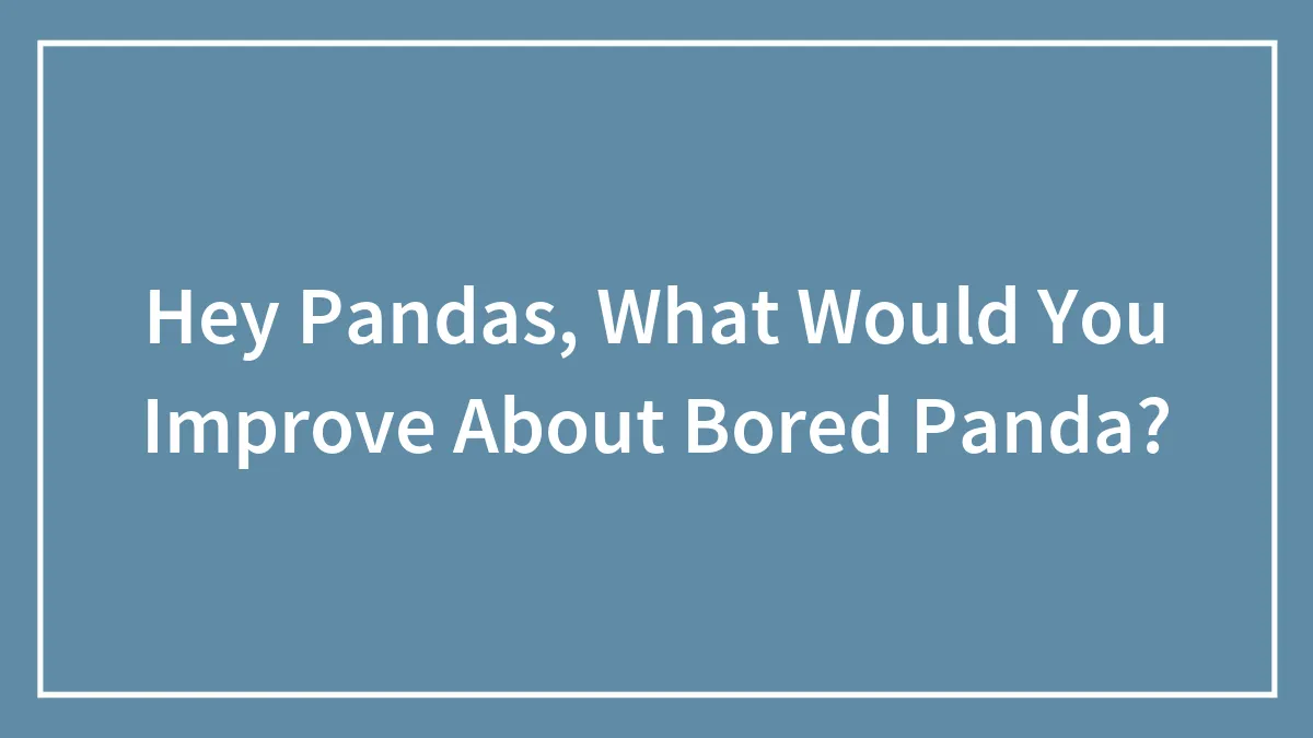 Hey Pandas, What Would You Improve About Bored Panda? (Closed)