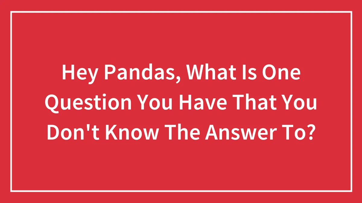 Hey Pandas, What Is One Question You Have That You Don't Know The Answer To?