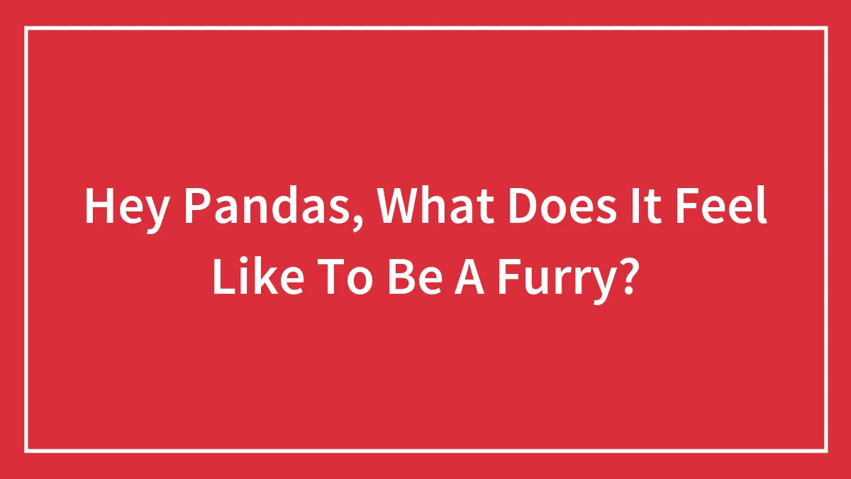 Hey Pandas, What Does It Feel Like To Be A Furry?