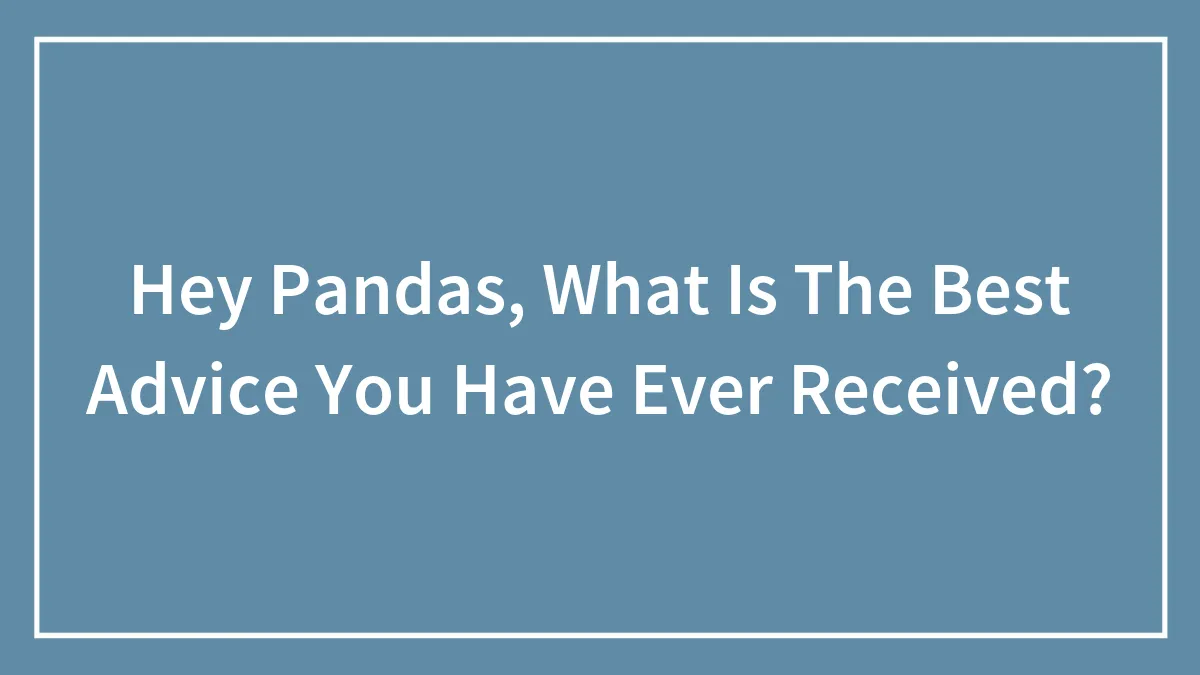 Hey Pandas, What Is The Best Advice You Have Ever Received? (Closed)