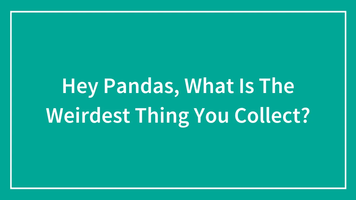 Hey Pandas, What Is The Weirdest Thing You Collect?