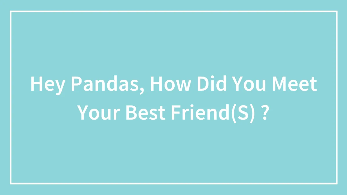 Hey Pandas, How Did You Meet Your Best Friend(S) ?