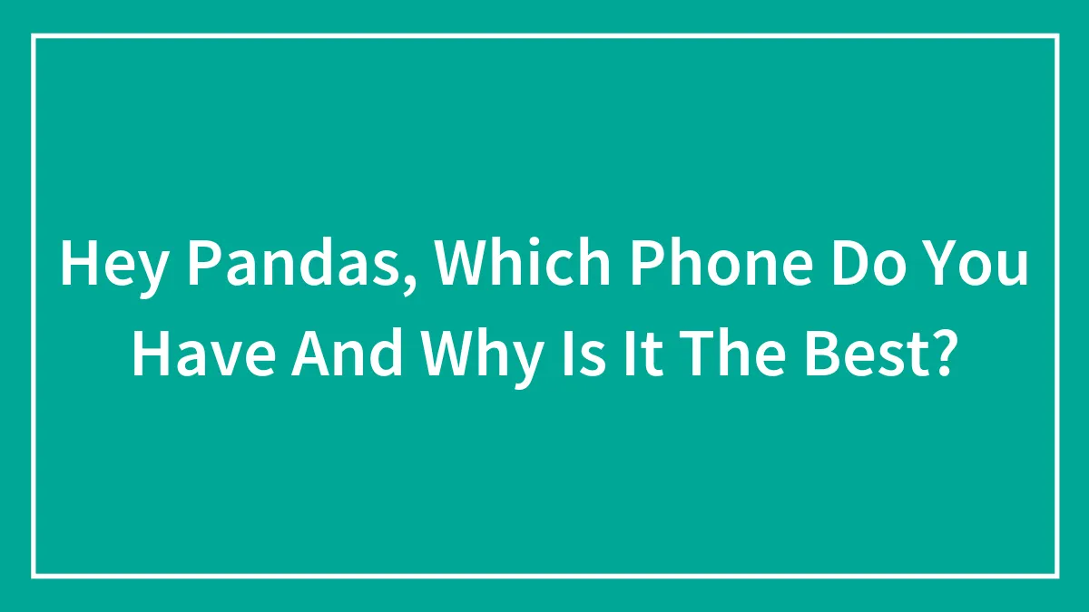 Hey Pandas, Which Phone Do You Have And Why Is It The Best?