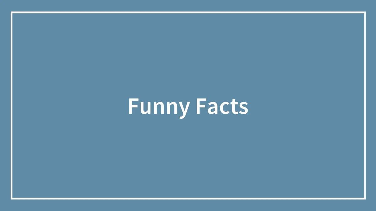 80 Funny Facts About Anything And Everything