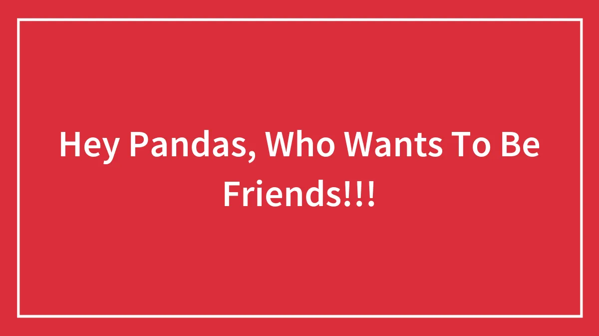 Hey Pandas, Who Wants To Be Friends!!!