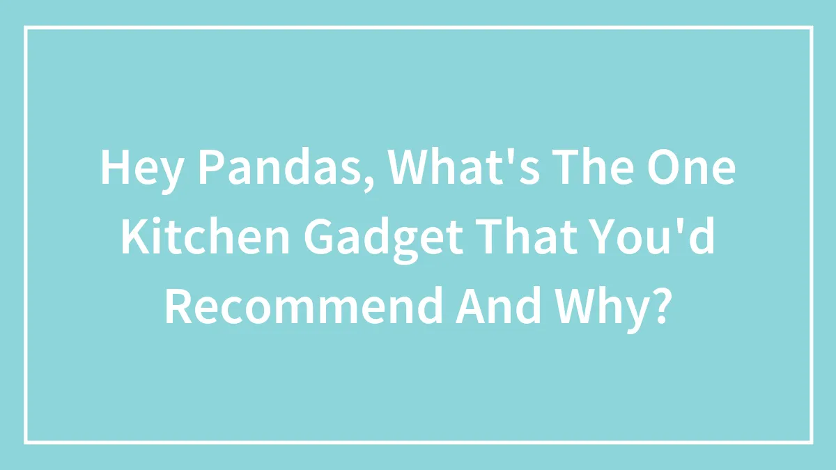 Hey Pandas, What's The One Kitchen Gadget That You'd Recommend And Why? (Closed)