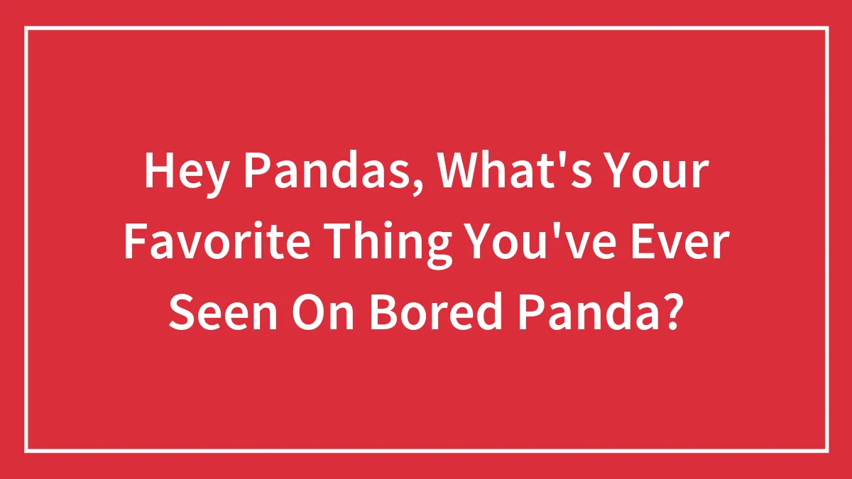 Hey Pandas, What's Your Favorite Thing You've Ever Seen On Bored Panda? (Closed)