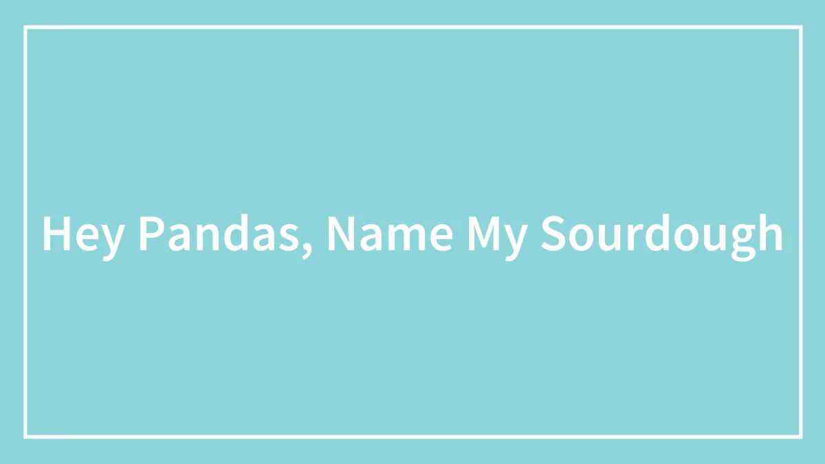 Hey Pandas, Name My Sourdough