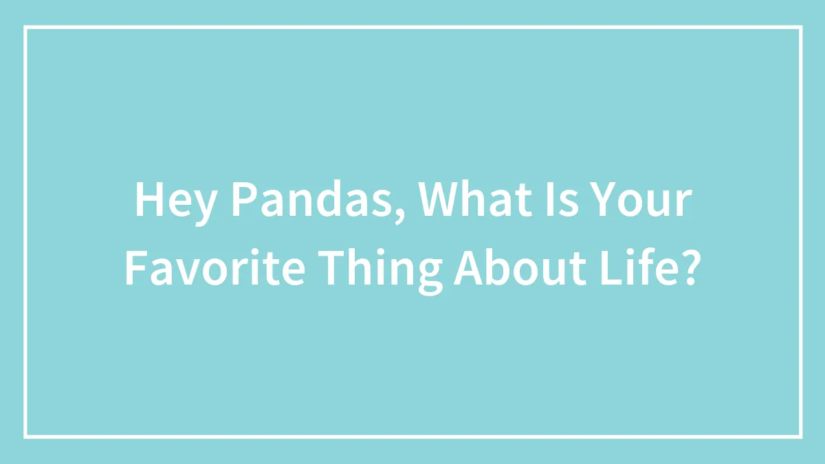 Hey Pandas, What Is Your Favorite Thing About Life?