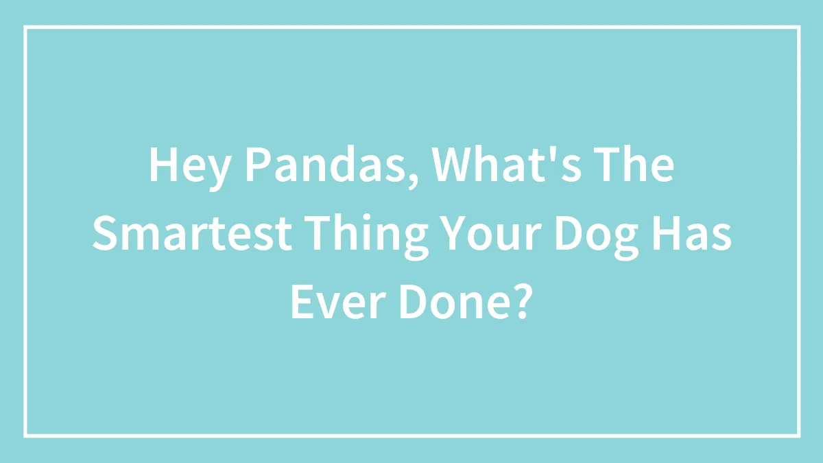 Hey Pandas, What's The Smartest Thing Your Dog Has Ever Done?