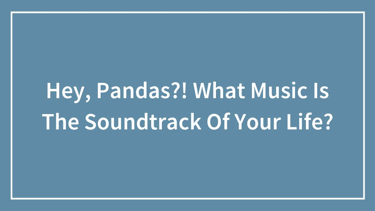 Hey, Pandas?! What Music Is The Soundtrack Of Your Life?