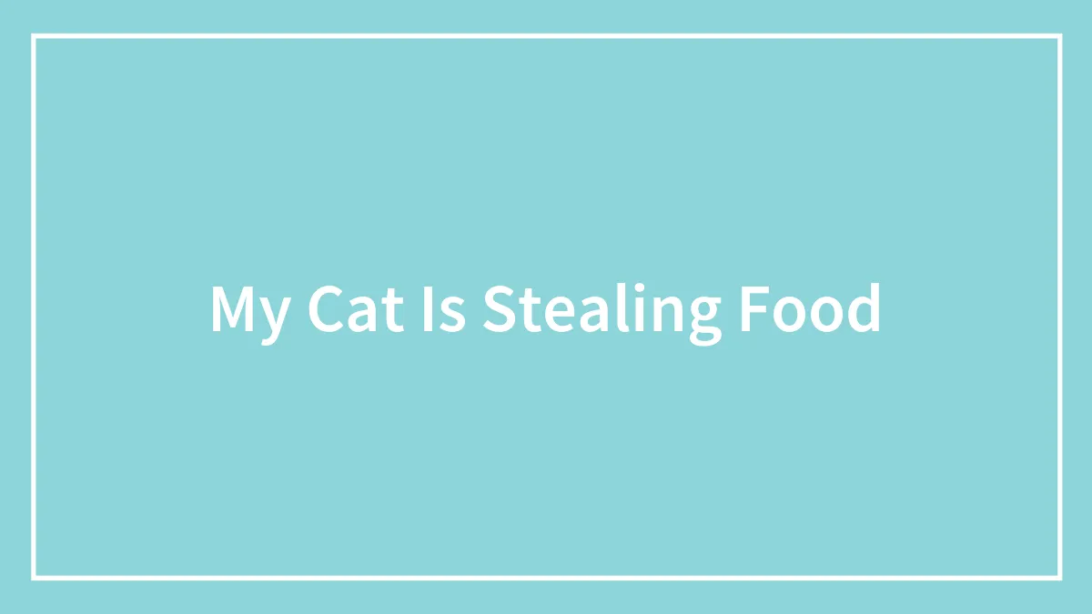 My Cat Is Stealing Food