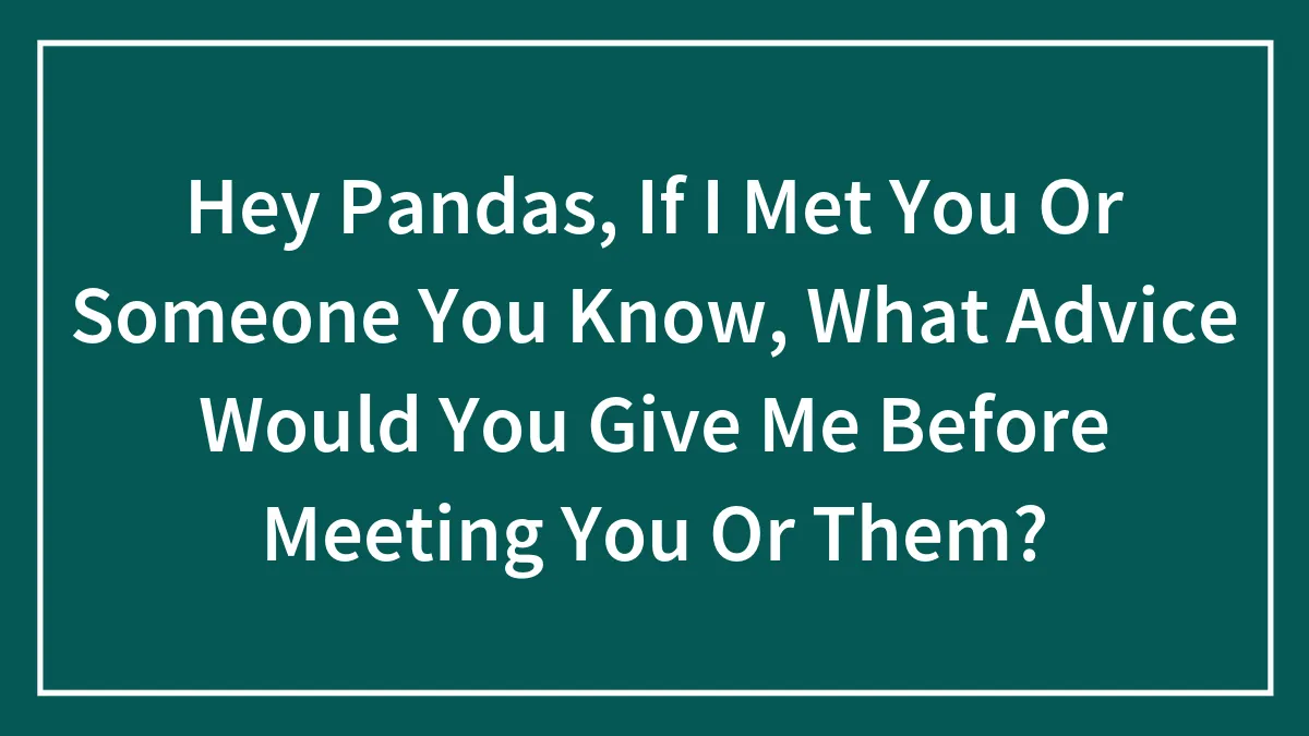 Hey Pandas, If I Met You Or Someone You Know, What Advice Would You Give Me Before Meeting You Or Them?