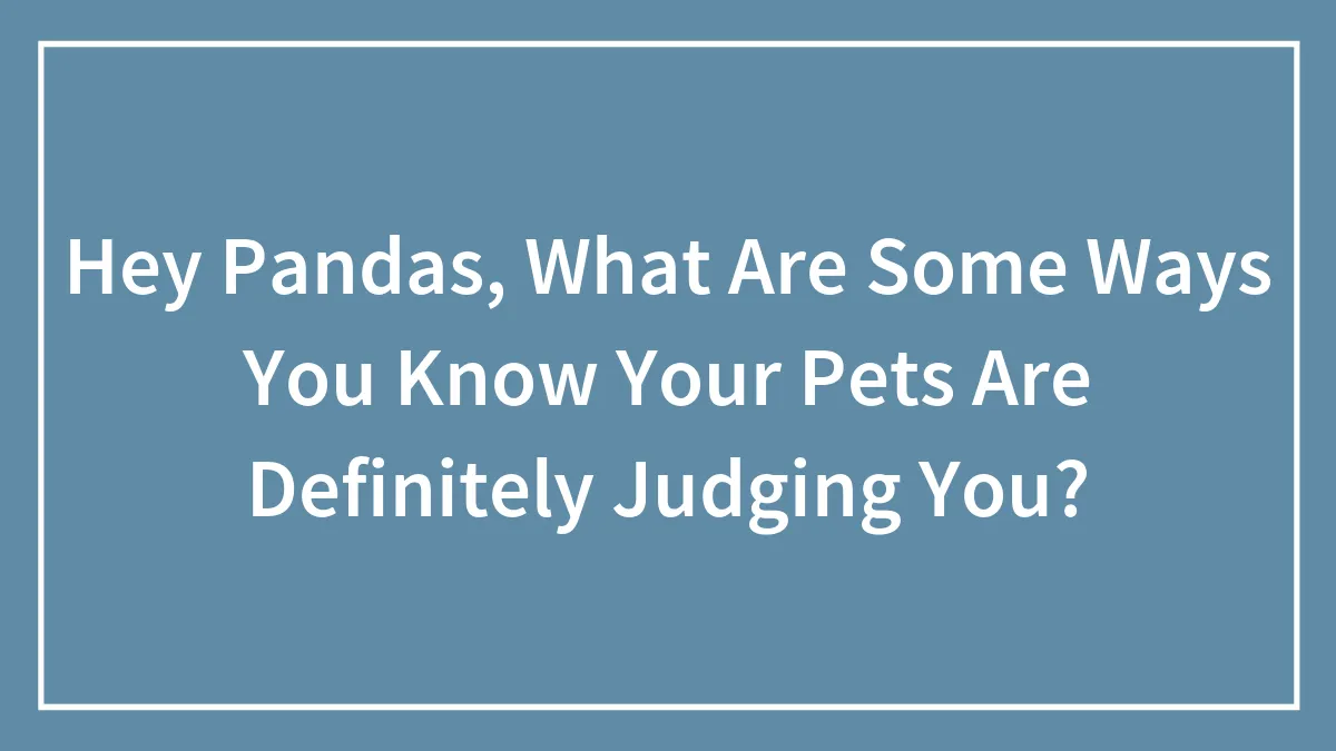 Hey Pandas, What Are Some Ways You Know Your Pets Are Definitely Judging You? (Closed)