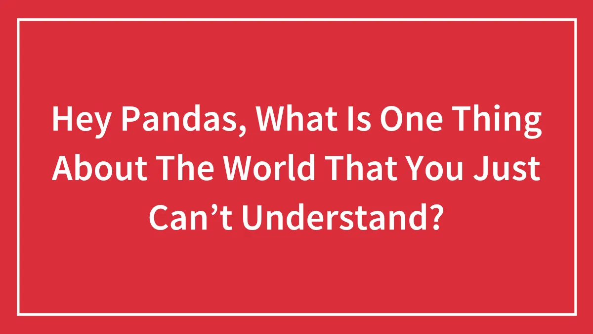Hey Pandas, What Is One Thing About The World That You Just Can’t Understand? (Closed)