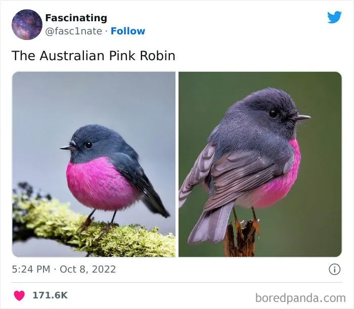 This Twitter Page Shares Interesting Facts About The World, And Here Are 45 That Might Surprise You