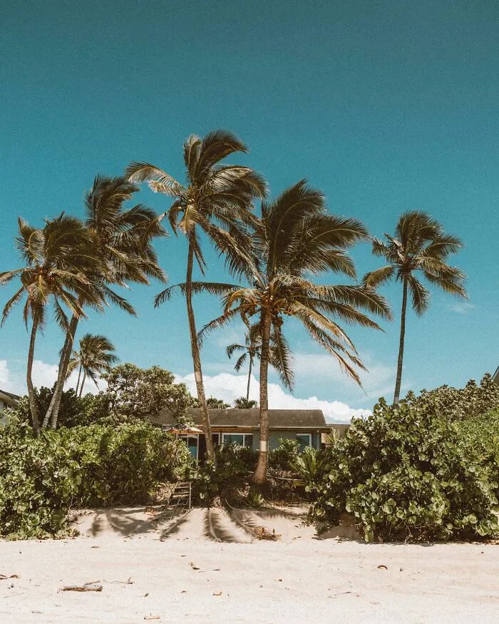 "2 Different Hidden Cameras": 35 Airbnb Horror Stories That Are Not For The Fainthearted