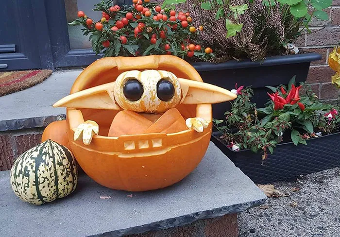 50-Year-Old Pumpkin, He Is