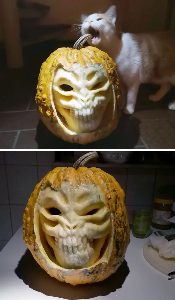 This Year's Pumpkin