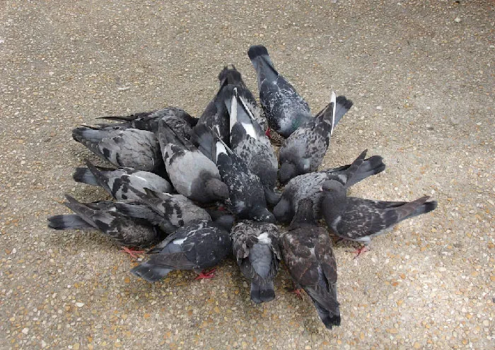 30 Of The Creepiest Things People Have Ever Witnessed, As Shared On This Online Thread