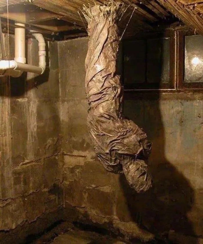 Apparently, There's A Dedicated Twitter Page Called "Cursed Images" And Here Are 30 Of The Weirdest Photos Posted On It