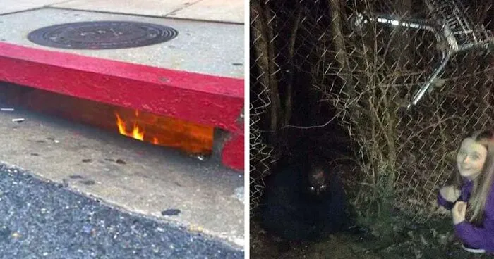 Apparently, There's A Dedicated Twitter Page Called "Cursed Images" And Here Are 30 Of The Weirdest Photos Posted On It