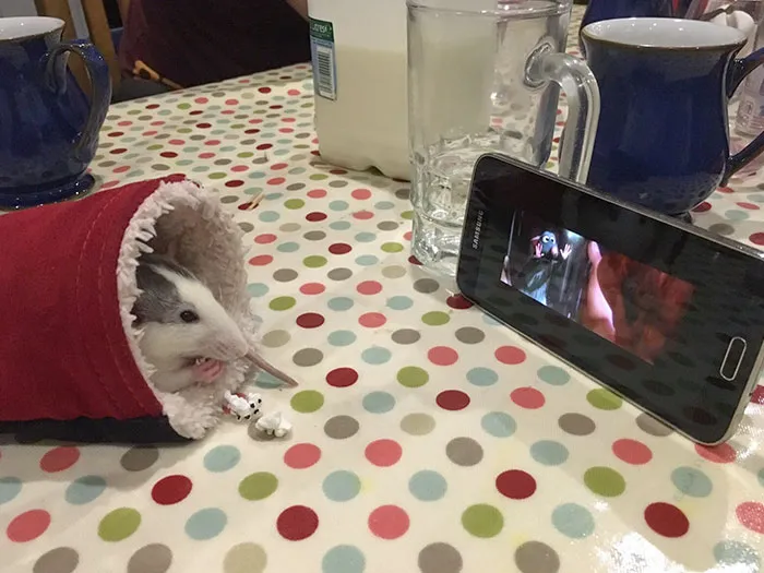 Disfrutando de una película y palomitas de maíz