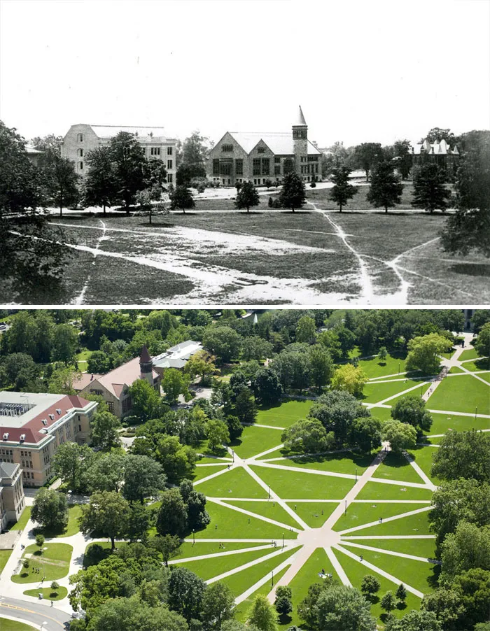 The Oval Walkways At Ohio State University Were Paved Based On The Students' Desire Paths