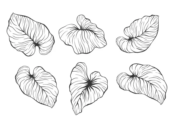 Six black and white leaf drawings, showcasing creative drawing prompts and ideas.