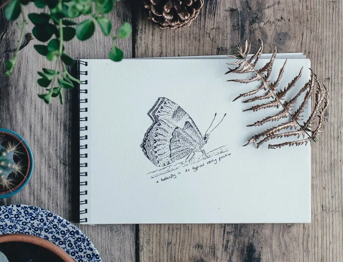 Sketchbook open on a wooden table, depicting a detailed butterfly drawing, surrounded by leaves and pottery, ideal for drawing prompts.