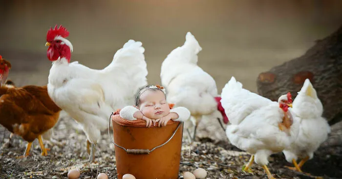 I Held A Newborn Photoshoot On A Family Farm With The Farm Animals, And Here Are The Results (6 Pics)