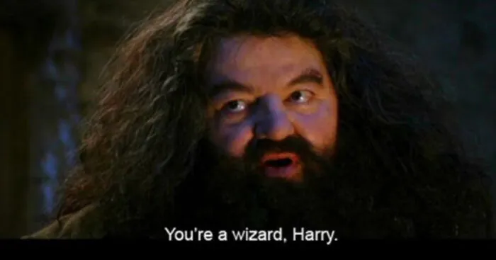 Hey Pandas, Post A Picture Of Your Favorite Hagrid Scene From Harry Potter In Honor Of Robby Coltrane (Closed)