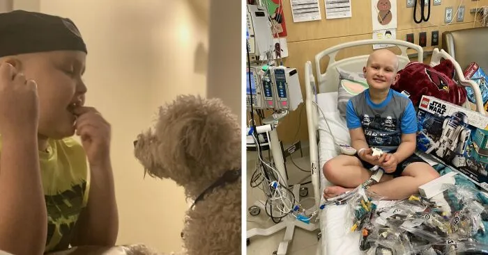 Dog Saved This Boy's Life (6 Pics)