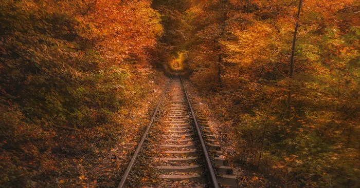 I Photographed Breathtaking Autumn Scenery From One Of The Most Spectacular Railways In South-Eastern Europe (8 Pics)