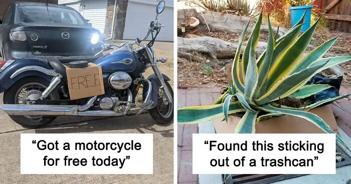 40 Of The Luckiest "Curb Finds" That People Just Stumbled Upon