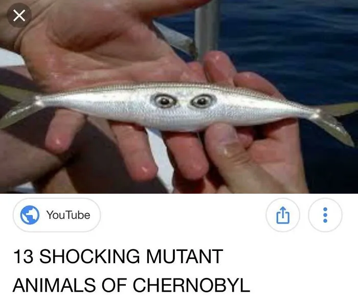 I Can't Stop Laughing