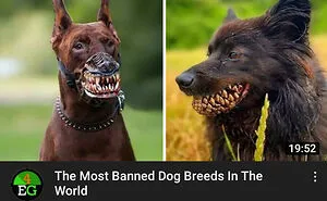 50 Of The Funniest And Most Absurd Thumbnails Spotted Online