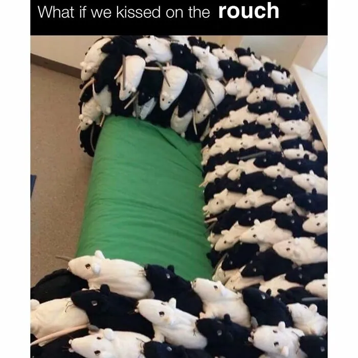 Rouch Is The New Bouclé