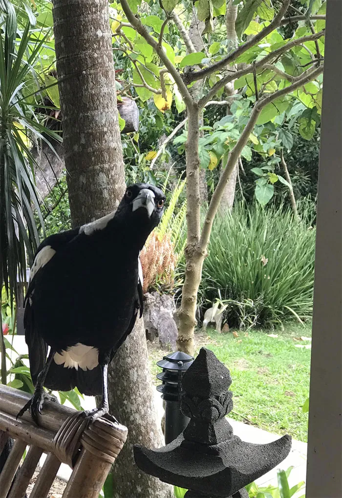 Excuse Me. Did You Say Something?