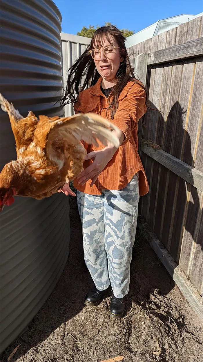 Algunos de nosotros nunca hemos sostenido una gallina y eso se nota