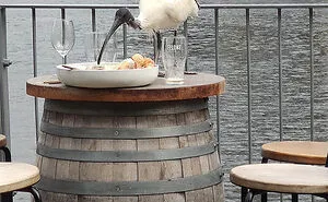 30 Hilarious Bird Photography Fails That Got Posted On This Facebook Group (New Pics)