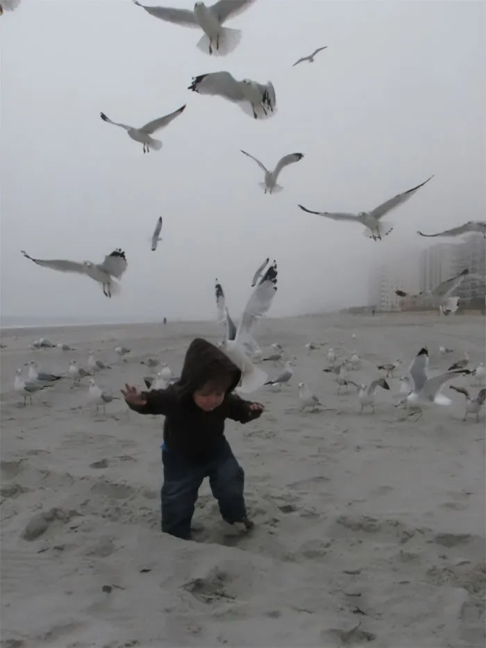 This Is What Happens When You Try To Take A Nice Photo At The Beach